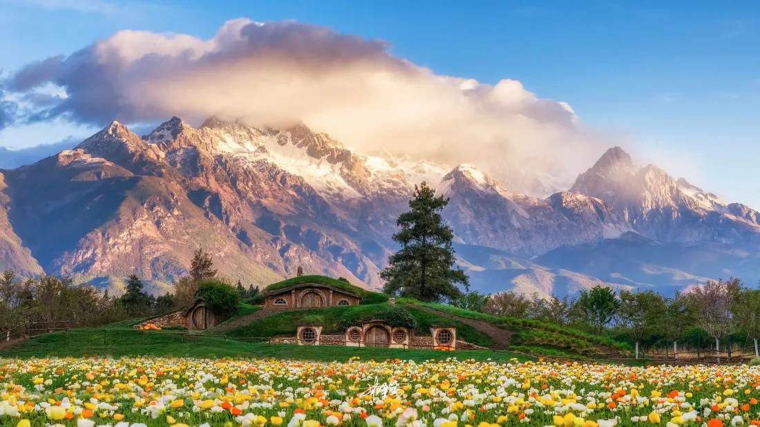 4k雪山花田壁纸｜自然风景背景图片 - 开阔治愈「哲风壁纸」