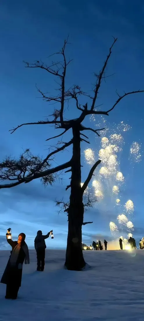 雪地烟花手机壁纸｜黄昏夜景背景图片 - 枯树干「哲风壁纸」