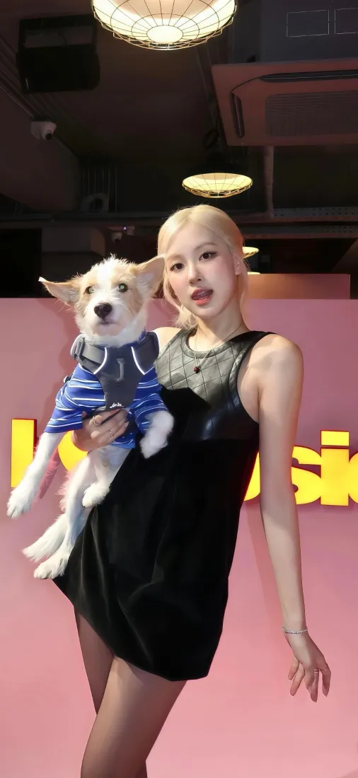 朴彩英手机壁纸｜小狗背景图片 - 金发女星「哲风壁纸」