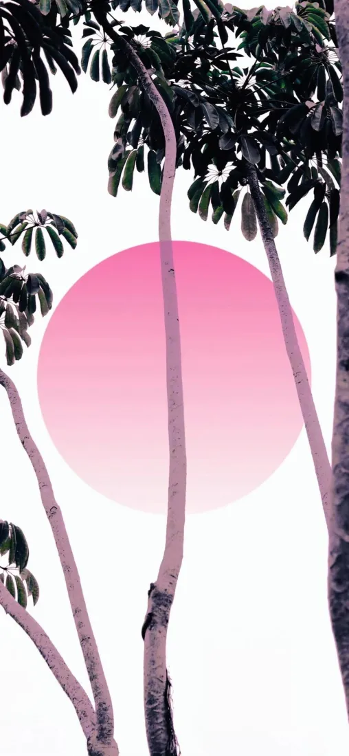 红月手机壁纸｜树木背景图片 - 简约意境「哲风壁纸」