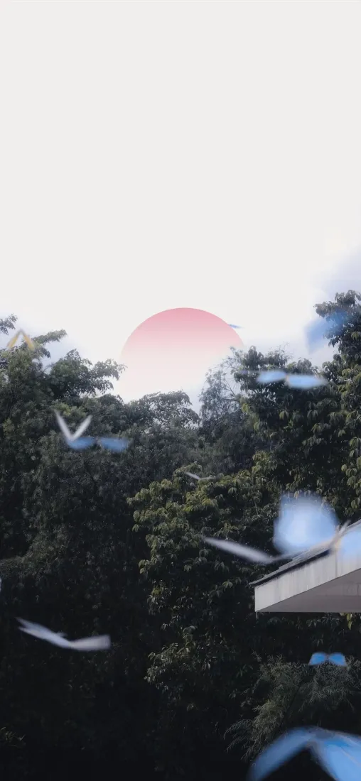 红月手机壁纸｜树林背景图片 - 暮色户外风光「哲风壁纸」