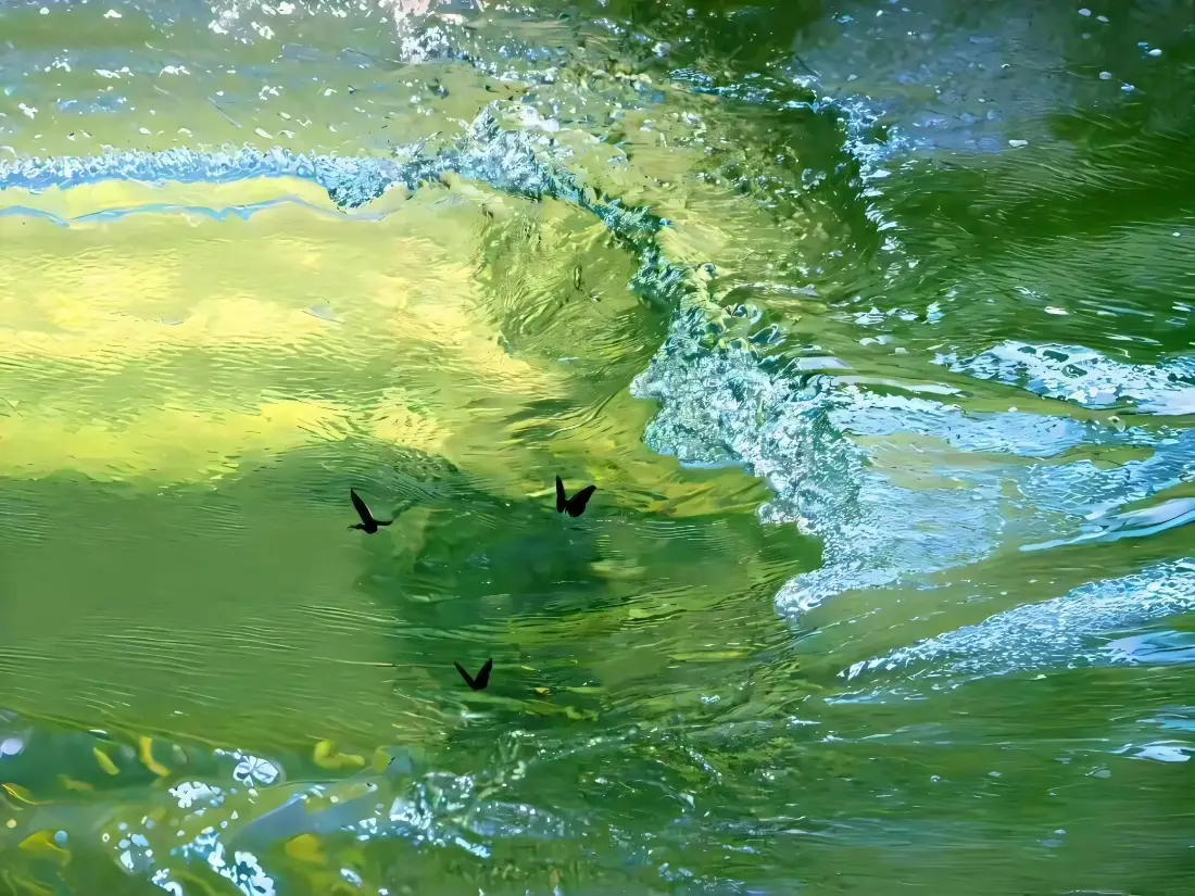 2k绿水燕子壁纸｜自然风景背景图片 - 波光「哲风壁纸」