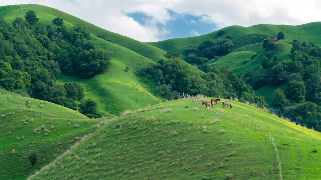 2k青山壁纸｜草地背景图片 - 丘陵牧场「哲风壁纸」