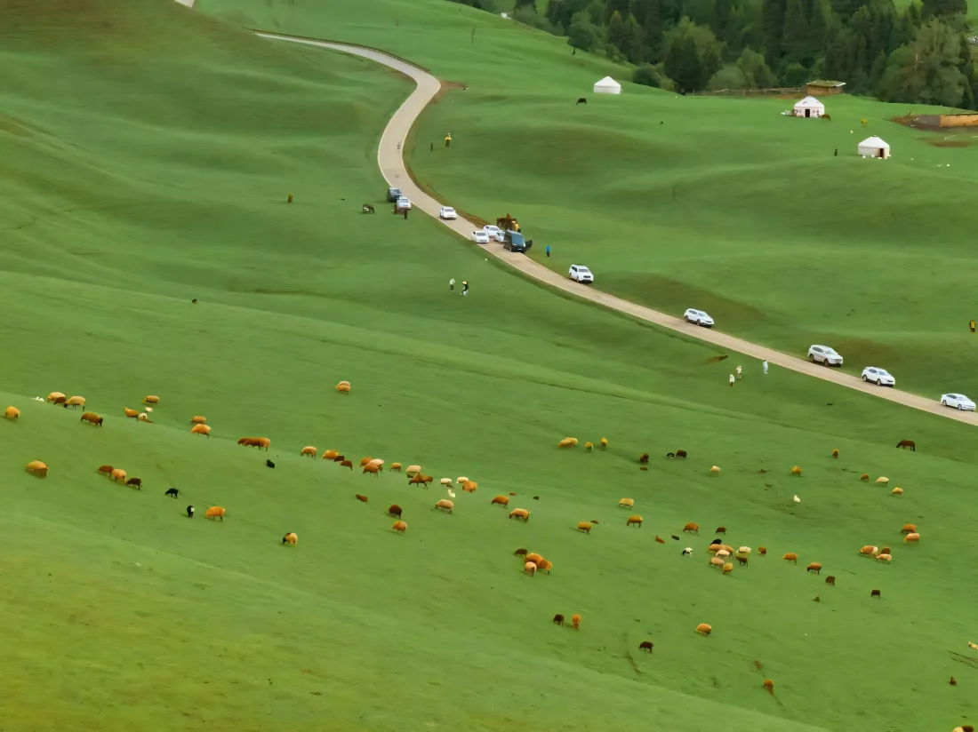 3k草原壁纸｜自然风光背景图片 - 牧场牛羊「哲风壁纸」