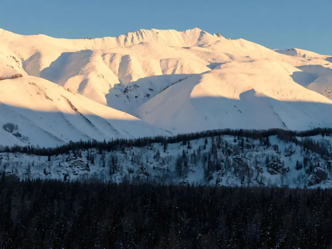 3k雪山壁纸｜树林背景图片 - 日照金山「哲风壁纸」