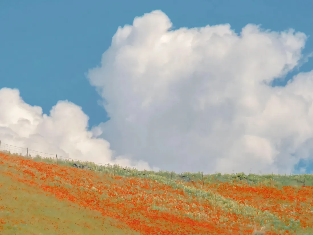 3k自然风景壁纸｜蓝天白云背景图片 - 缓坡草地「哲风壁纸」