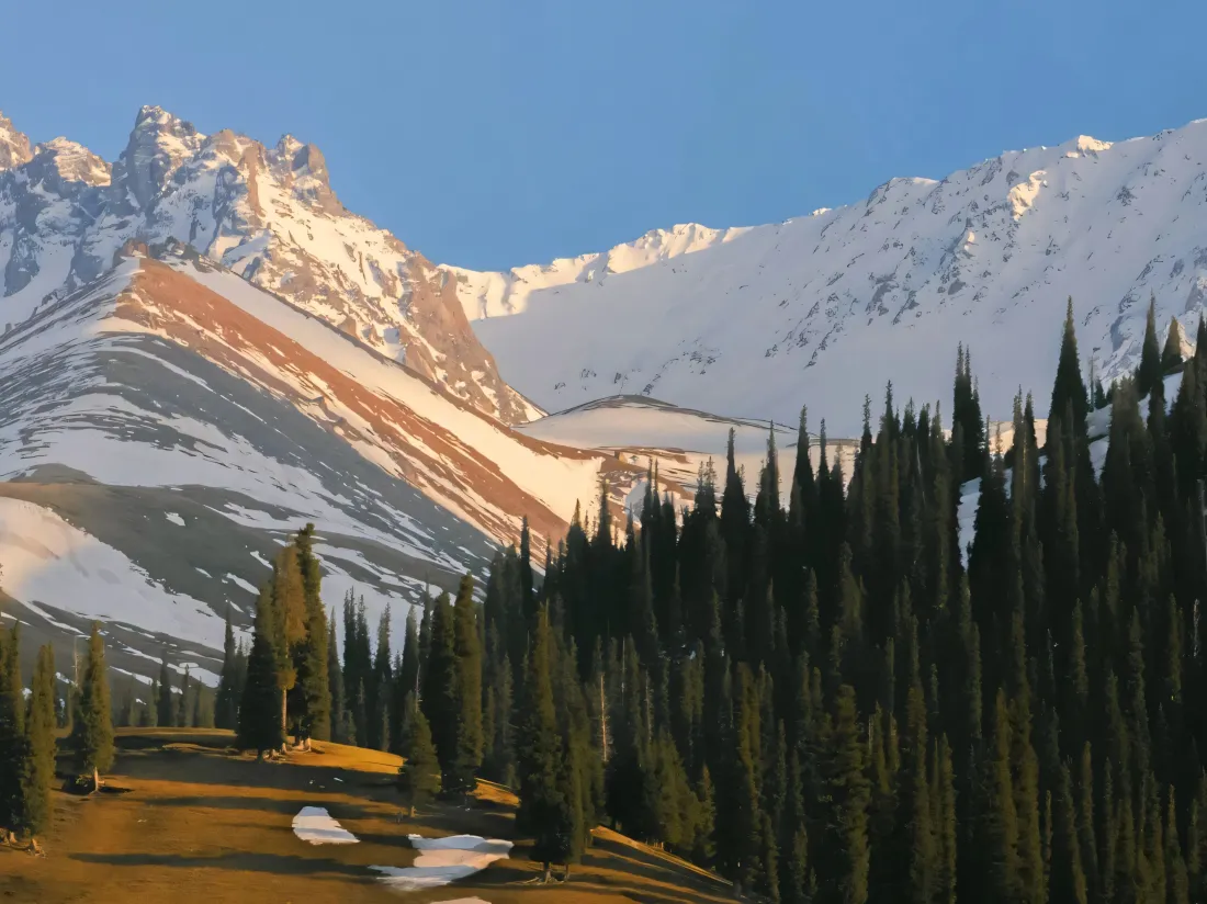 3k雪山壁纸｜自然背景图片 - 高山松林「哲风壁纸」