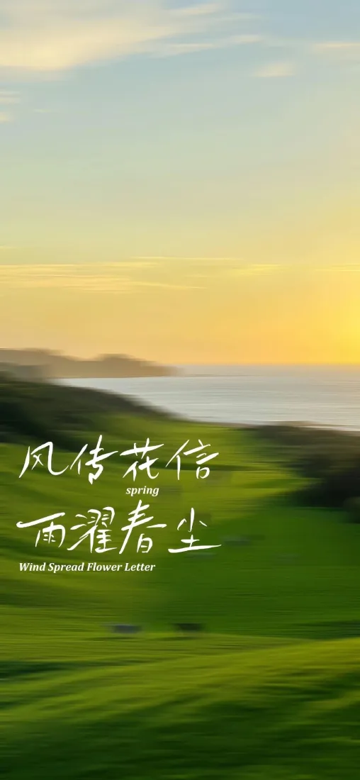黄昏手机壁纸｜草地背景图片 - 海滨春景「哲风壁纸」