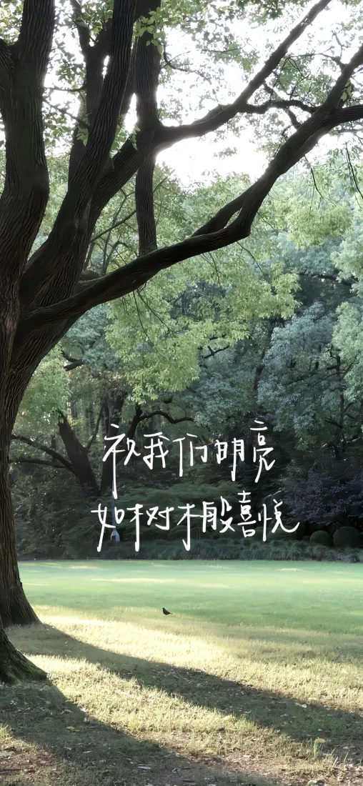 树林手机壁纸｜自然背景图片 - 文艺文字「哲风壁纸」