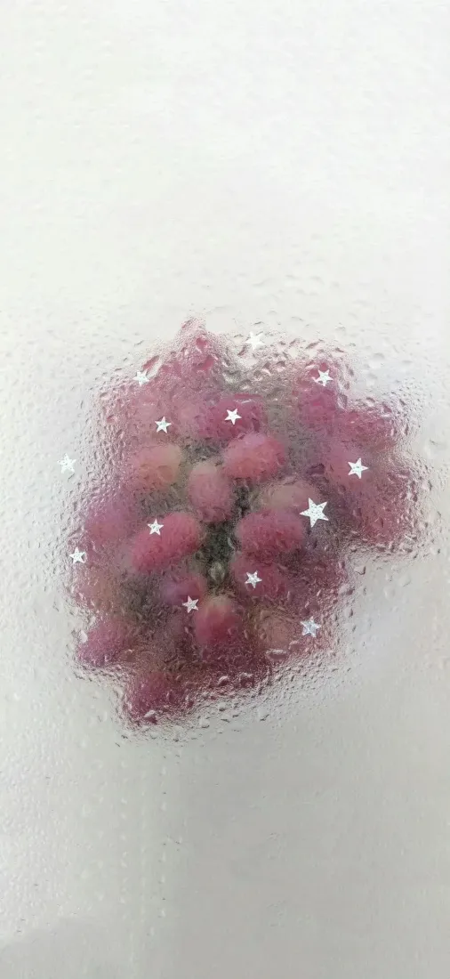 粉色提子手机壁纸｜朦胧星光背景图片 - 简约清新「哲风壁纸」