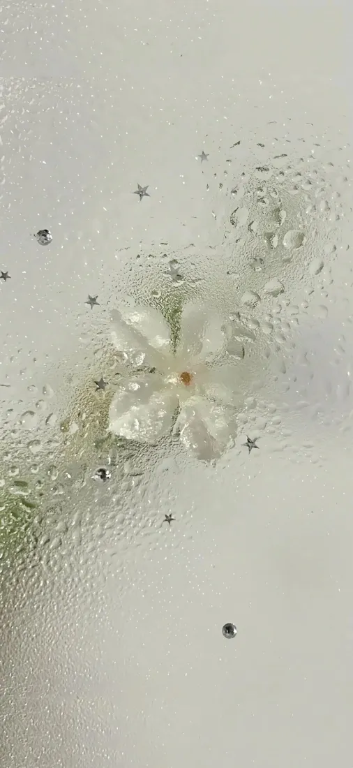 花朵手机壁纸｜浅色背景图片 - 朦胧淡雅「哲风壁纸」