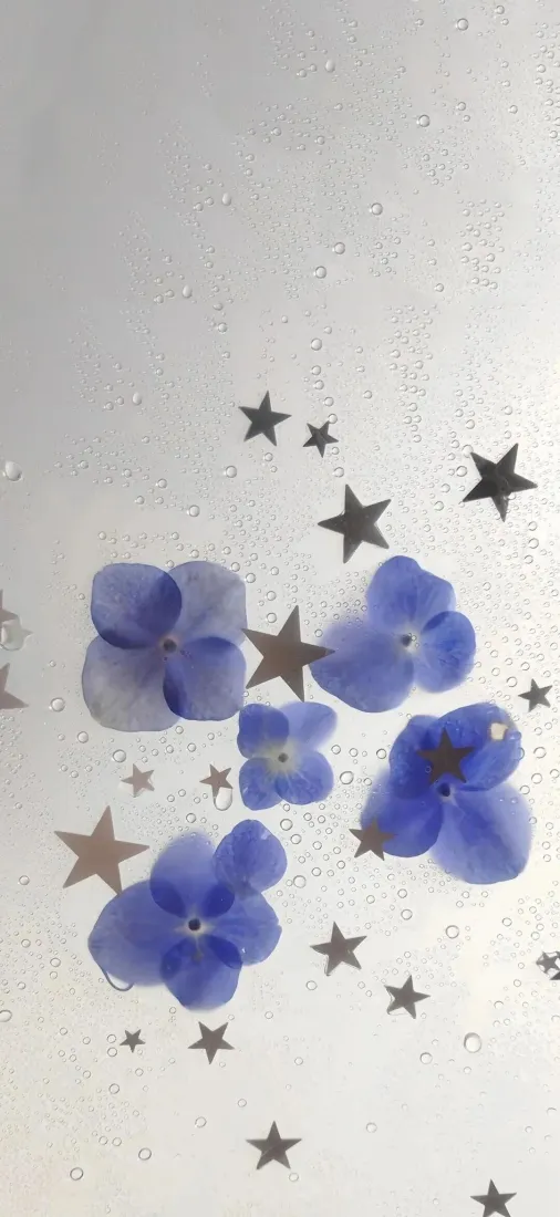蓝色花手机壁纸｜朦胧背景图片 - 星星点缀「哲风壁纸」