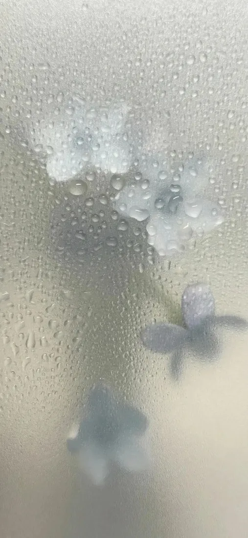 花朵手机壁纸｜简约背景图片 - 朦胧质感「哲风壁纸」