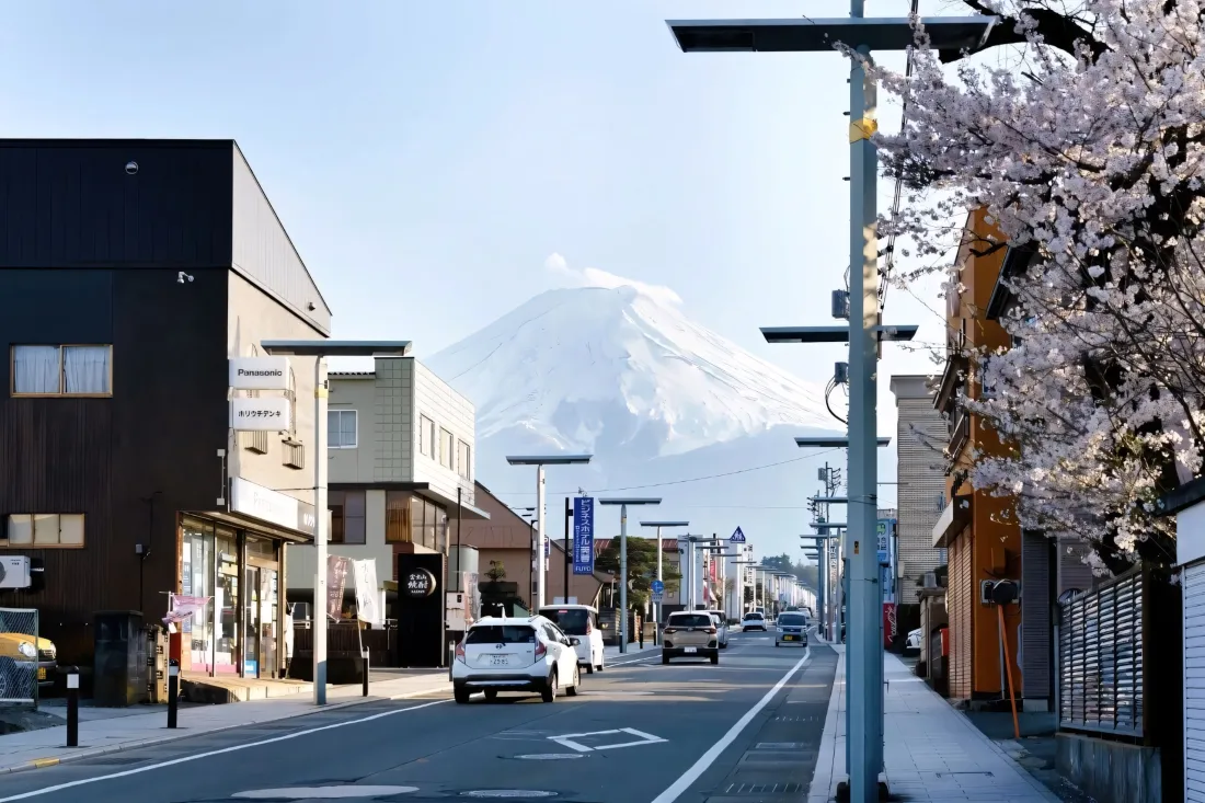 3k樱花大道壁纸｜日本街景背景图片 - 富士山「哲风壁纸」