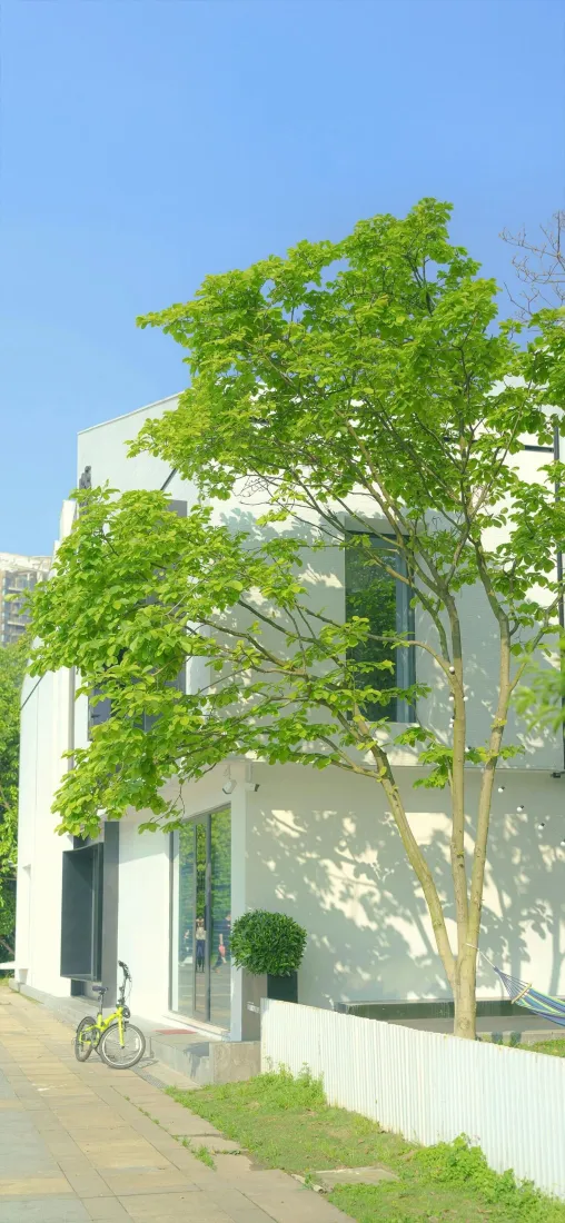 清新小屋手机壁纸｜自然风景背景图片 - 晴天绿树「哲风壁纸」