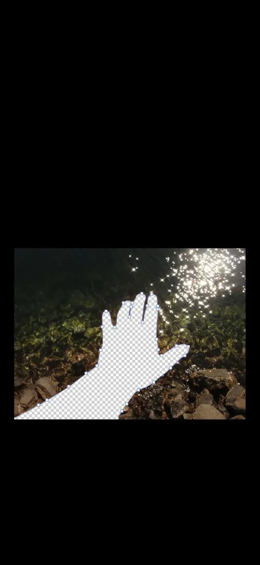 树林手机壁纸｜黑色背景图片 - 伸手触光斑「哲风壁纸」