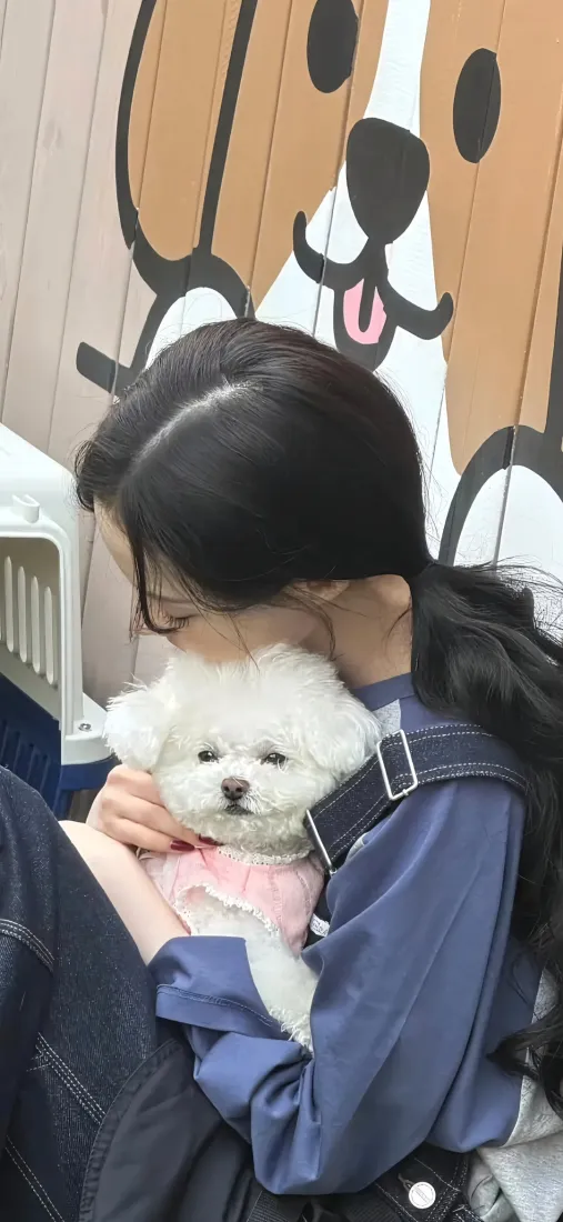 金玟庭手机壁纸｜抱宠背景图片 - 韩国爱豆「哲风壁纸」