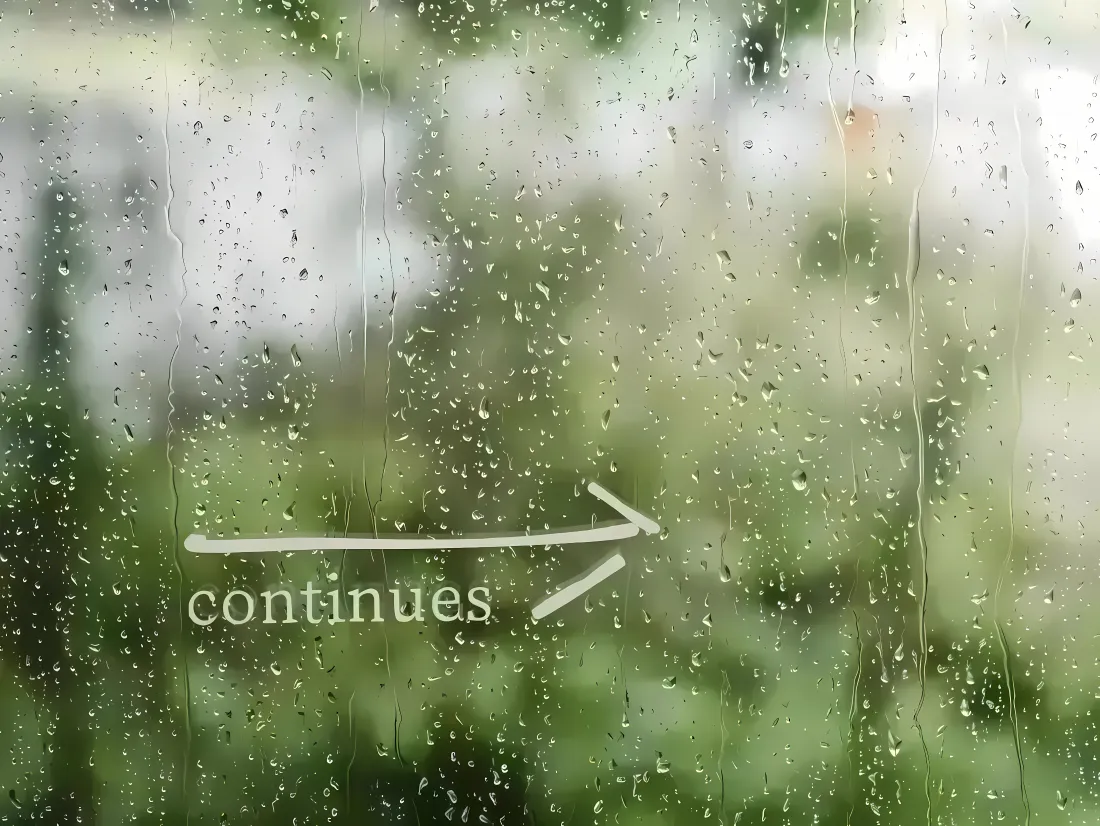 4k朦胧玻璃雨滴壁纸｜雨天户外背景图片 - 清新绿植「哲风壁纸」