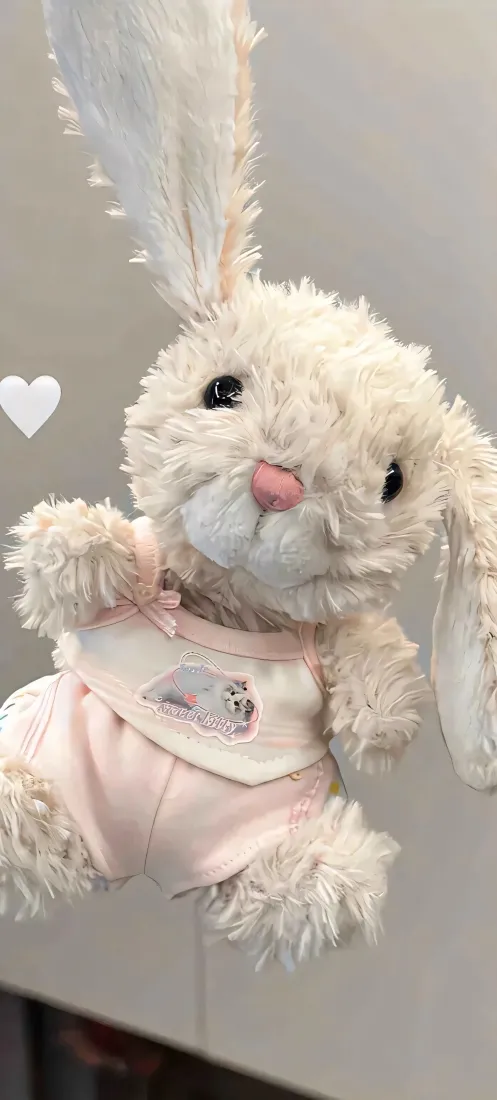 玩偶兔子手机壁纸｜简约背景图片 - 可爱软萌「哲风壁纸」