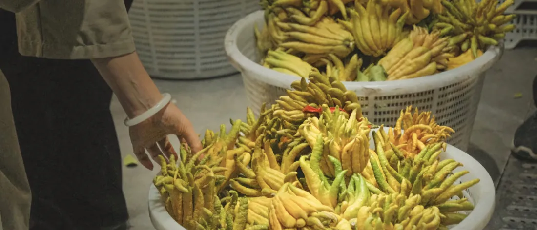 5k佛手柑壁纸｜市井背景图片 - 市井烟火气「哲风壁纸」