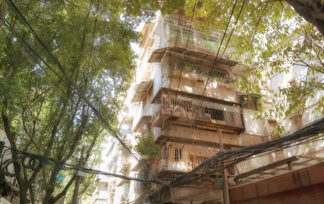 5k市井烟火气壁纸｜楼房背景图片 - 林荫老居民区「哲风壁纸」