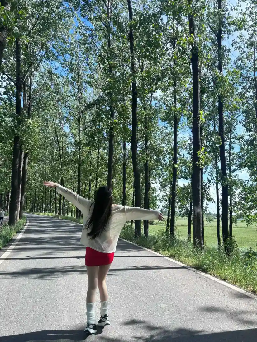 林间公路手机壁纸｜户外背景图片 - 清新自然风景「哲风壁纸」