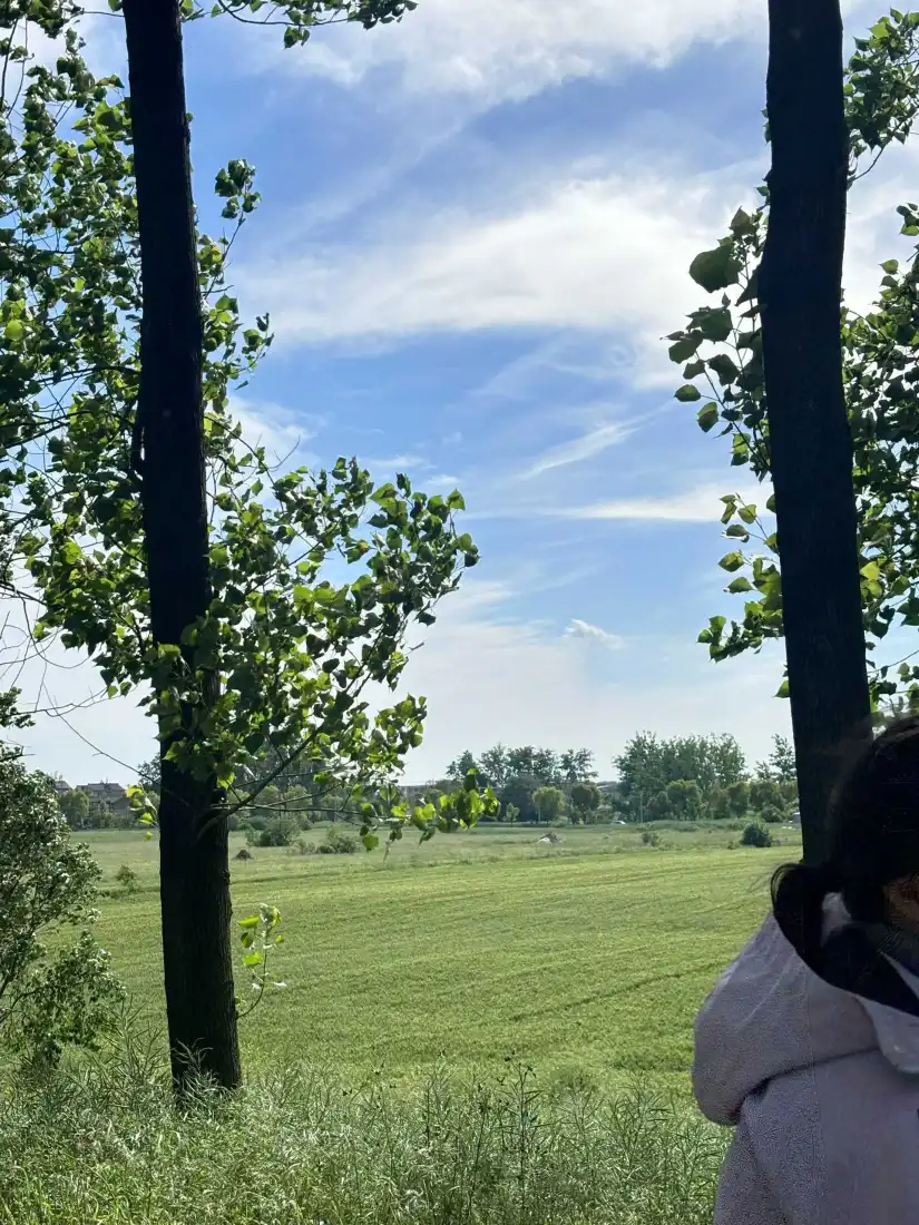 户外风景手机壁纸｜草地背景图片 - 蓝天绿树「哲风壁纸」