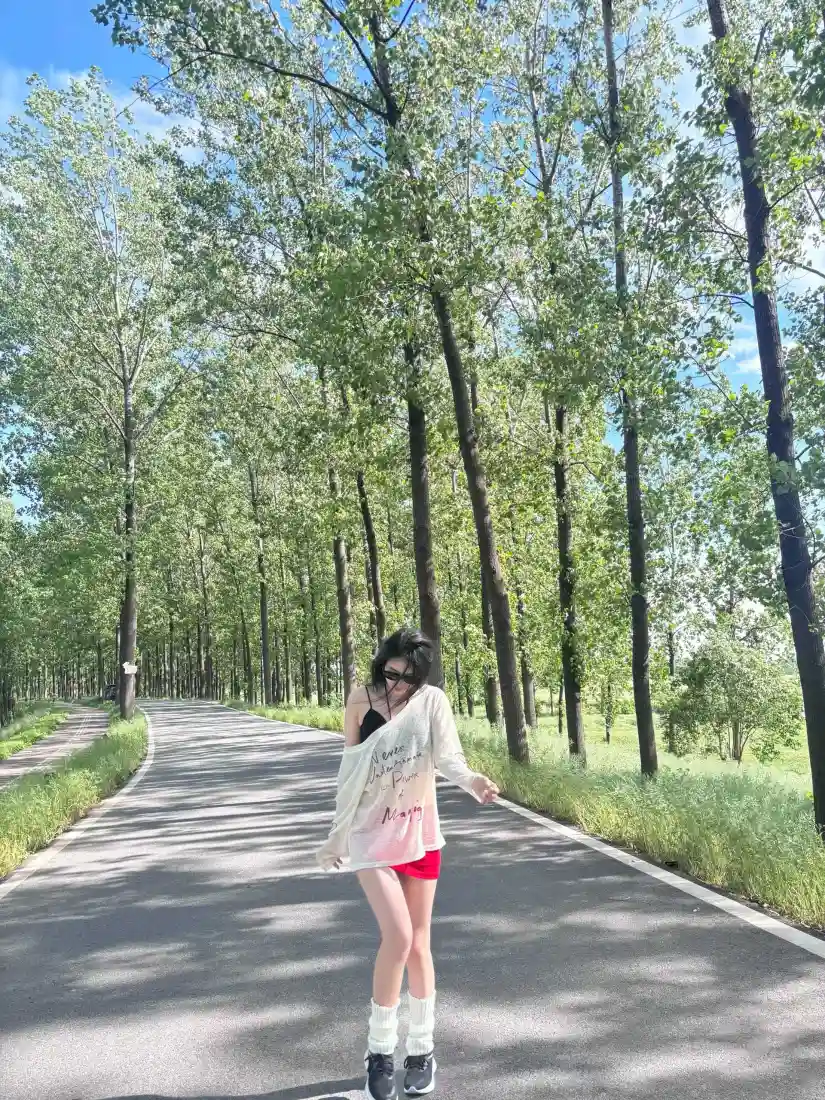 户外风景手机壁纸｜林间公路背景图片 - 少女随拍「哲风壁纸」