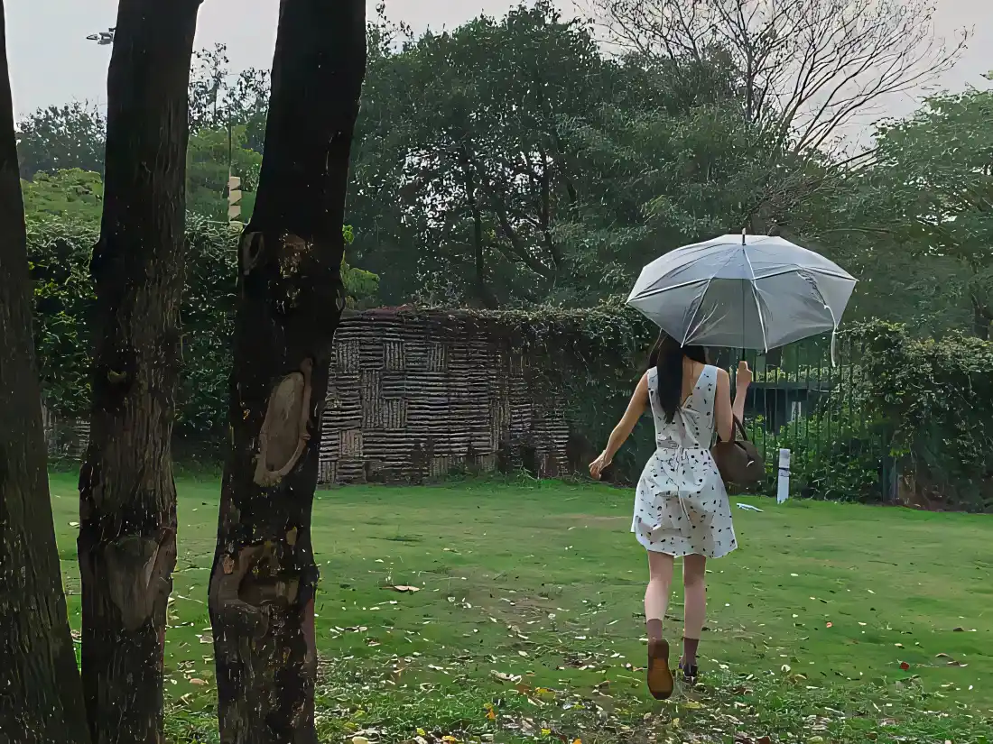 4k撑伞女生壁纸｜户外背景图片 - 林间草地「哲风壁纸」
