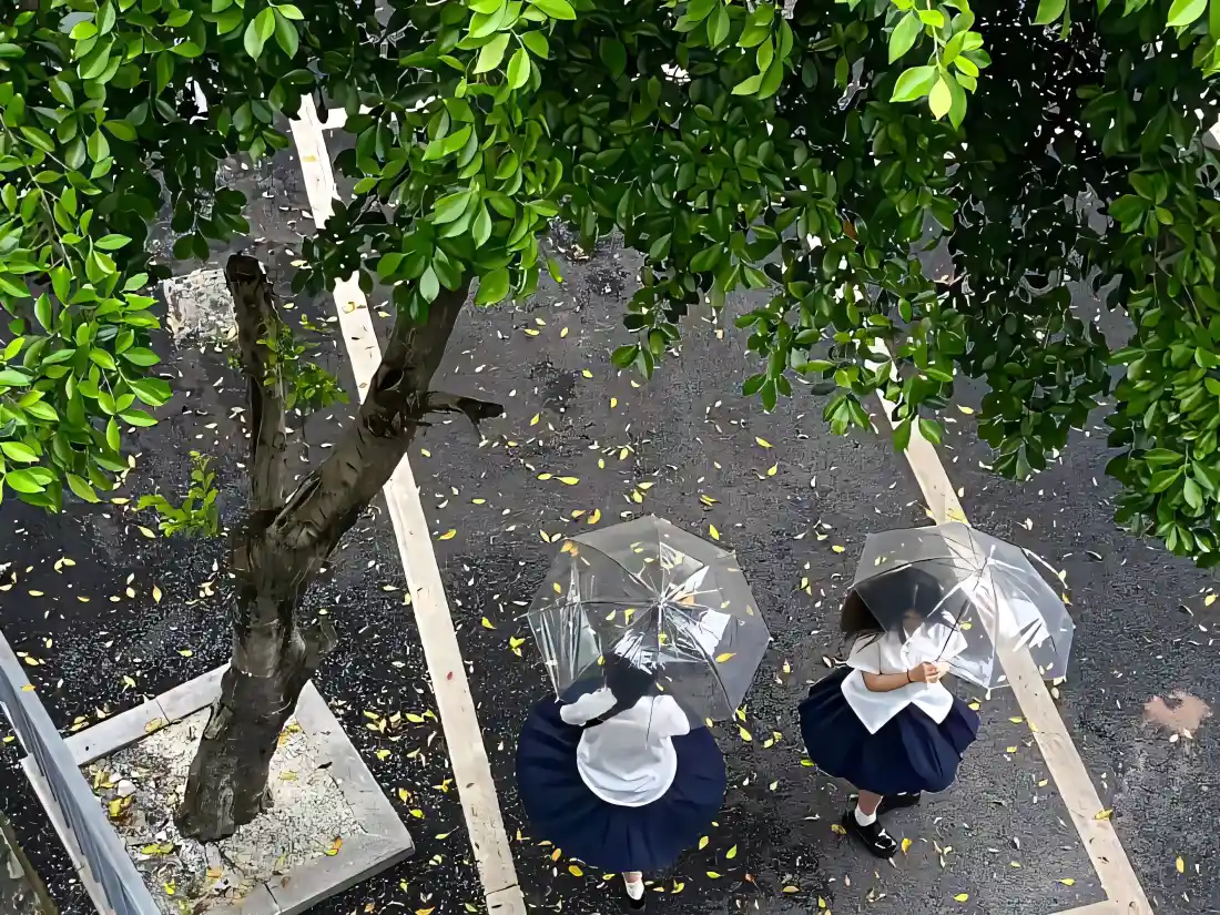 4kJK少女壁纸｜树荫下背景图片 - 雨天同行「哲风壁纸」