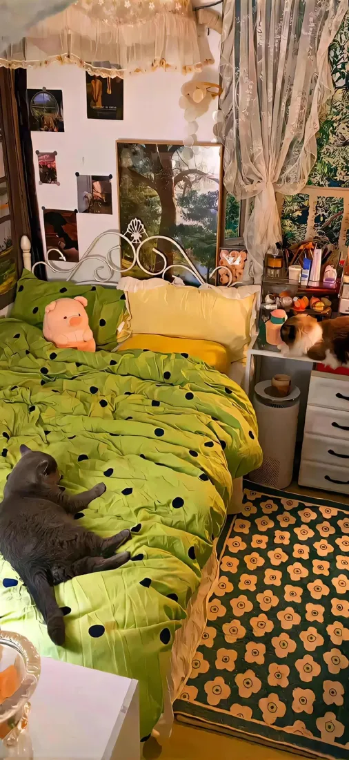 慵懒小猫手机壁纸｜居家房屋背景图片 - 治愈温馨卧室「哲风壁纸」
