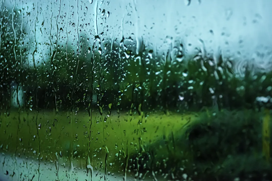 6k雨天玻璃壁纸｜窗外朦胧绿植背景图片 - 治愈清新自然氛围「哲风壁纸」