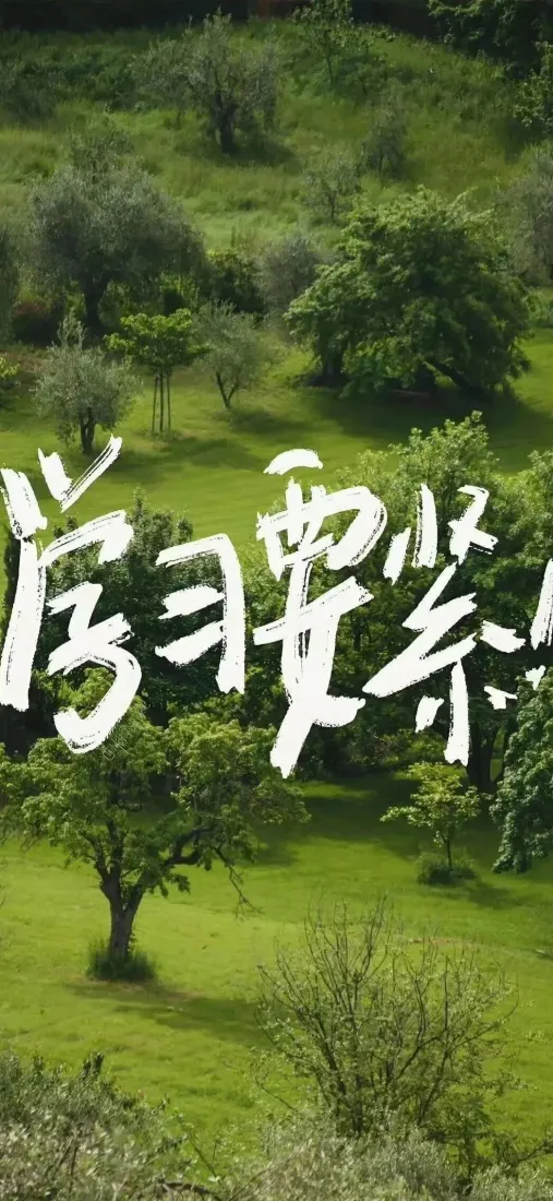 学习要紧手机壁纸｜绿色草地树林背景图片 - 正能量励志「哲风壁纸」