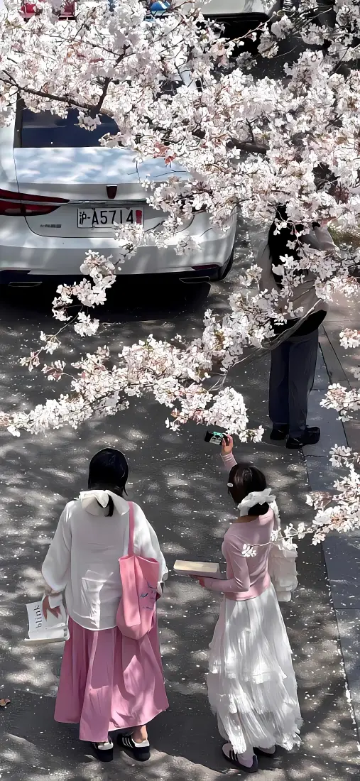 女孩手机壁纸｜樱花街道背景图片 - 传统服饰少女春日漫步「哲风壁纸」