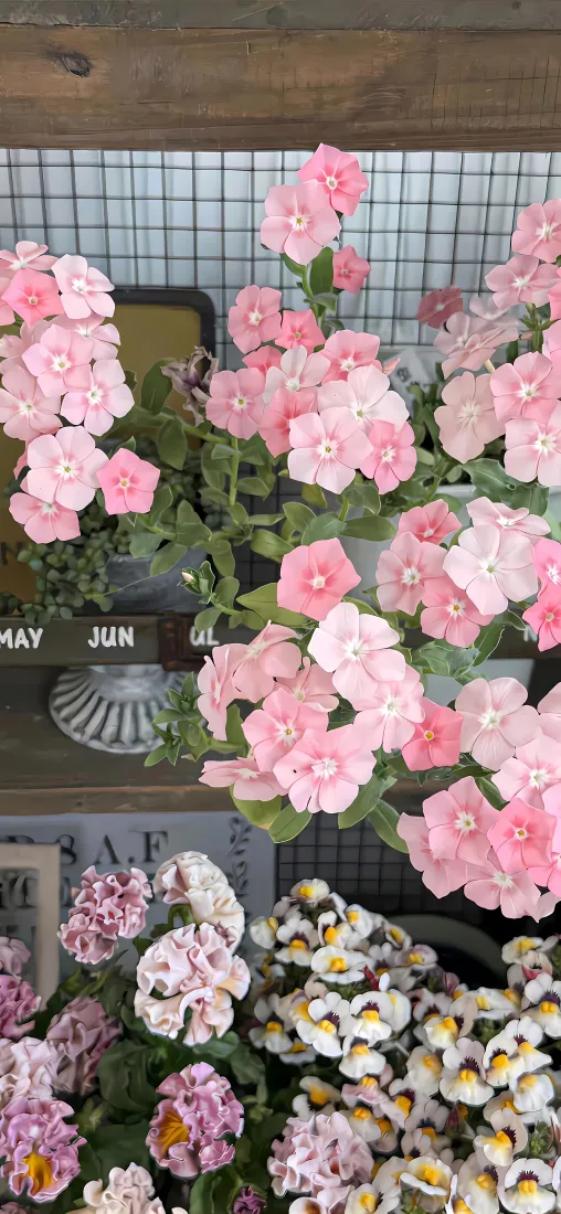 粉色牵牛花手机壁纸｜缤纷花丛背景图片 - 清新植物装饰「哲风壁纸」