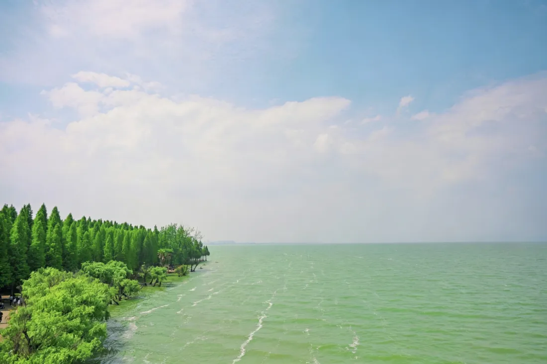 3k湖岸风光壁纸｜蓝天白云背景图片 - 绿树湖水「哲风壁纸」