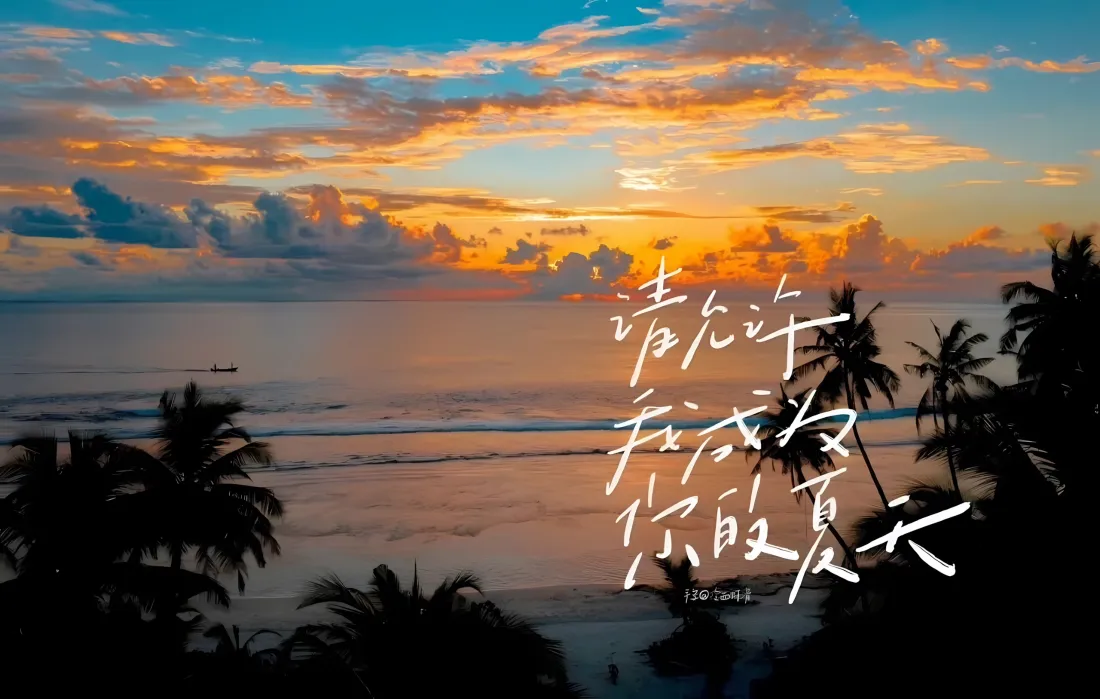 3k海边日落壁纸｜椰林晚霞背景图片 - 夏日治愈文字「哲风壁纸」
