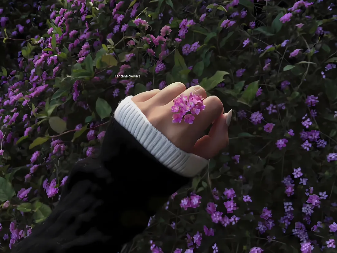 4k紫色花朵壁纸｜手握花丛背景图片 - 治愈清新自然「哲风壁纸」