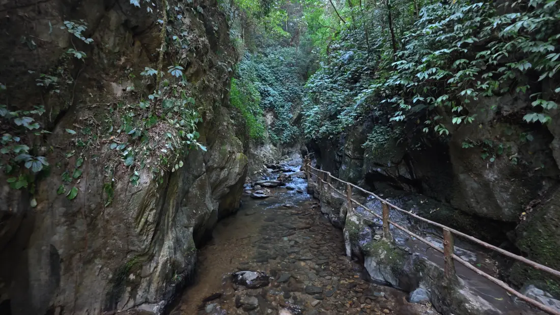 4k峡谷溪流壁纸｜山间绿植背景图片 - 自然徒步步道风光「哲风壁纸」