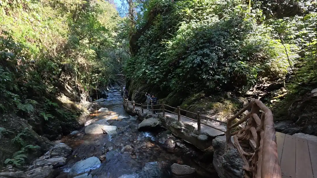 4k山间溪流壁纸｜森林步道背景图片 - 夏日清幽景致「哲风壁纸」