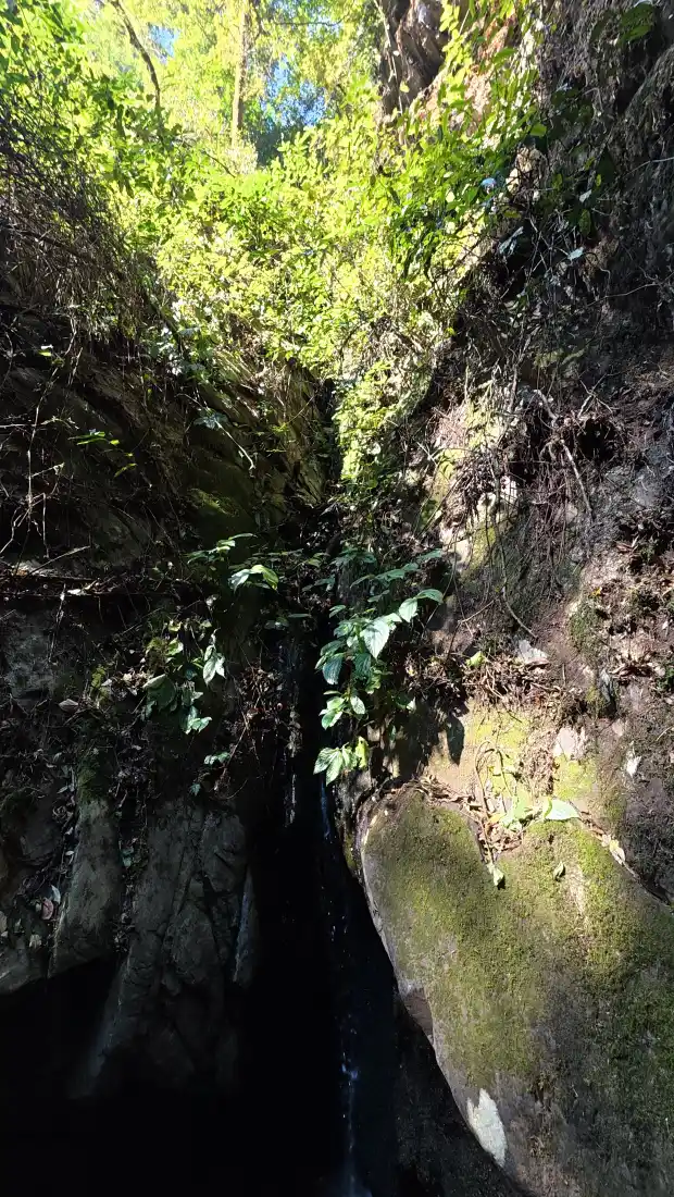 峡谷手机壁纸｜山林绿植背景图片 - 自然岩壁风光「哲风壁纸」
