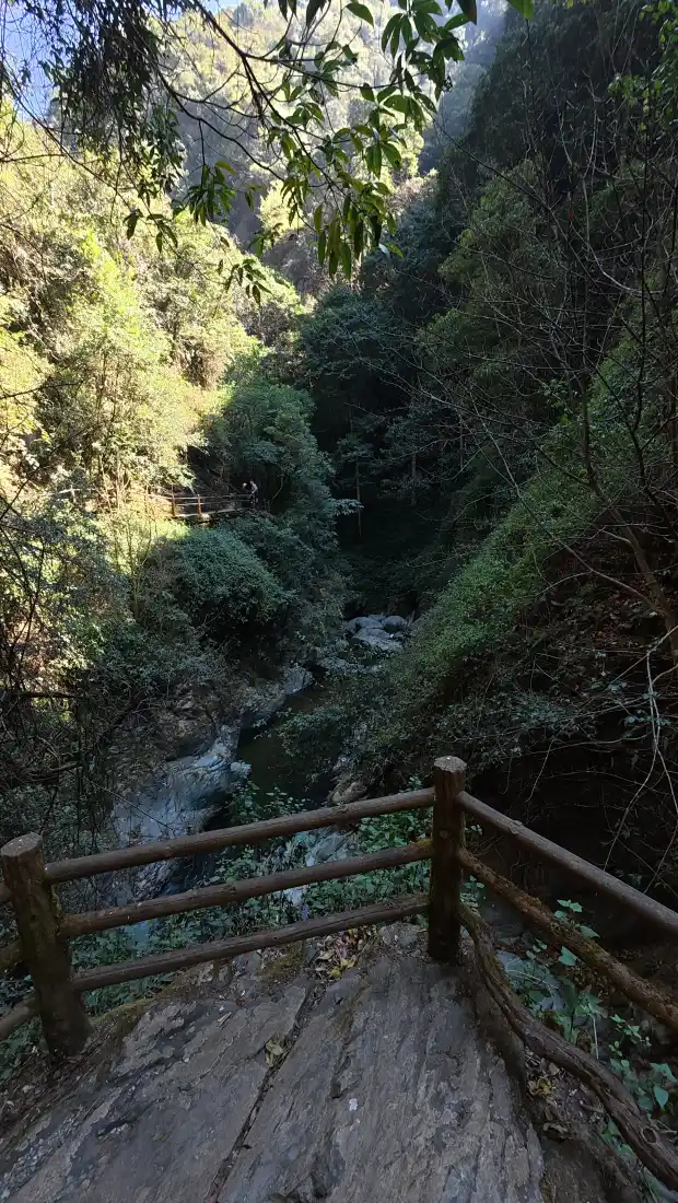 山间栈道手机壁纸｜峡谷森林溪流背景图片 - 自然户外景观「哲风壁纸」