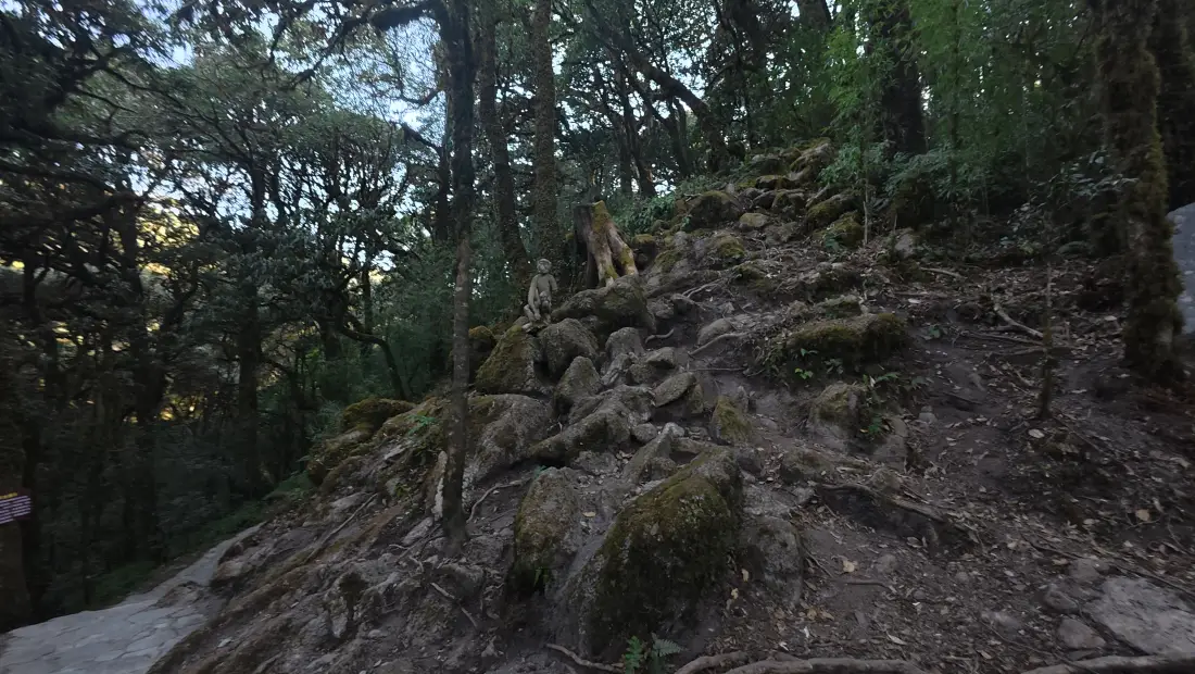4k森林壁纸｜山间岩石背景图片 - 自然户外徒步风景「哲风壁纸」