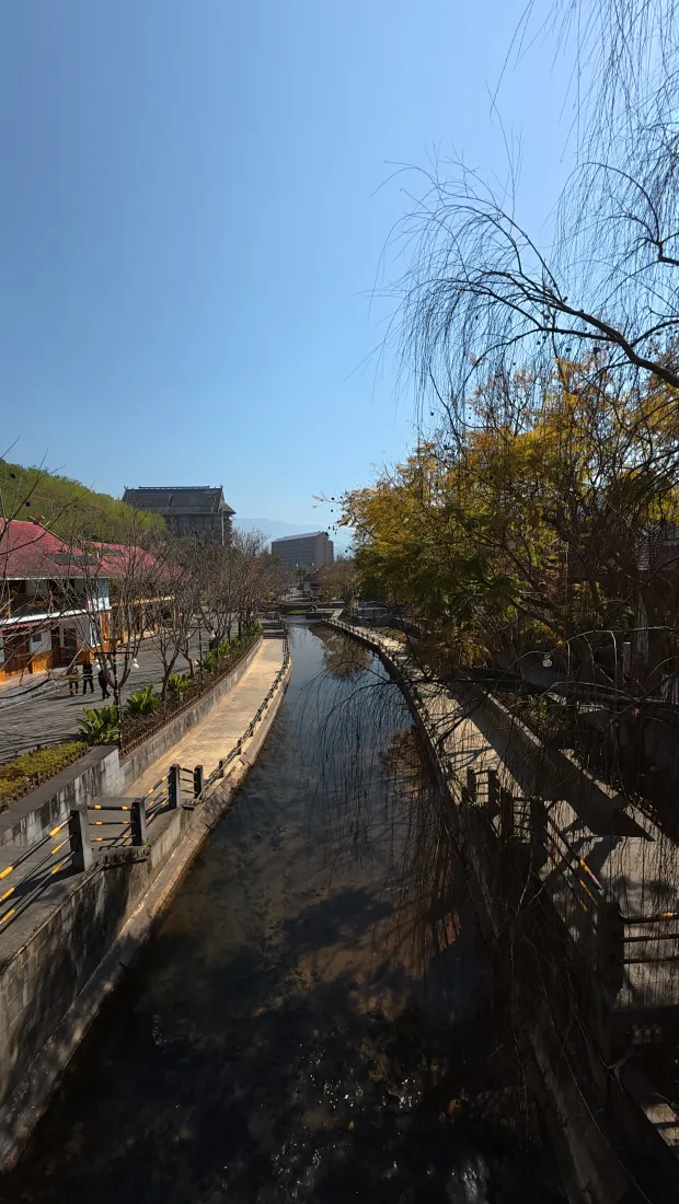 水乡河道手机壁纸｜蓝天古建树影背景图片 - 秋日治愈街景「哲风壁纸」