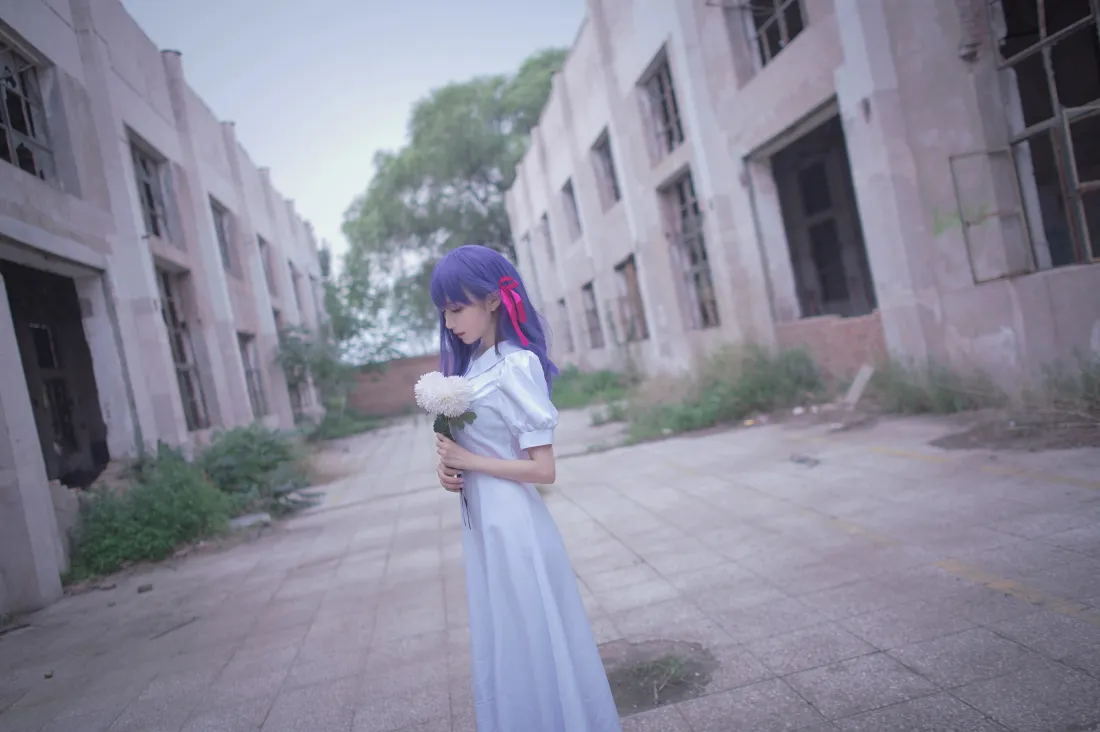 4k间桐樱壁纸｜废弃旧楼户外背景图片 - Shika小鹿鹿cosplay「哲风壁纸」