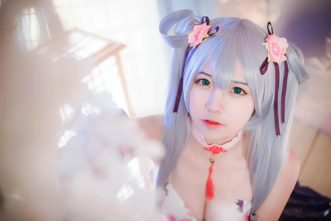 5k樱花初音壁纸｜二佐Nisa背景图片 - cosplay「哲风壁纸」