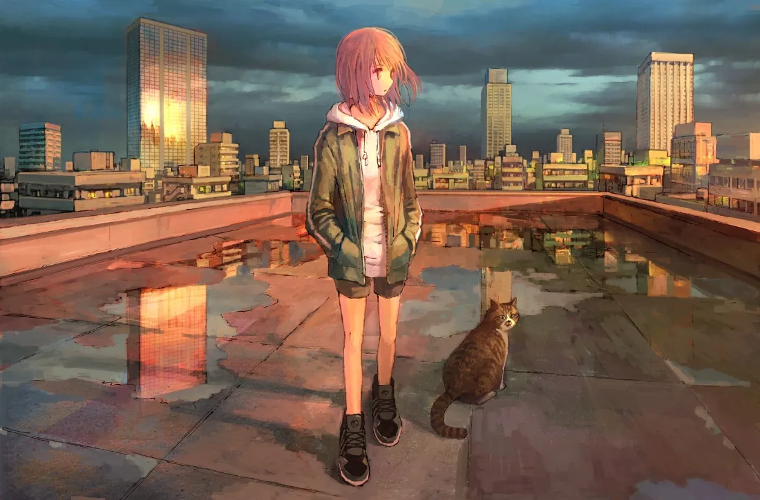 2k二次元少女壁纸｜天台城市黄昏背景图片 - 猫咪相伴「哲风壁纸」