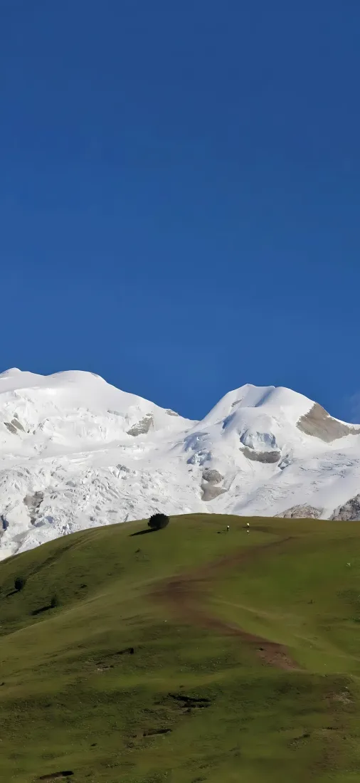 雪山手机壁纸｜草坪蓝天背景图片 - 高原自然风景「哲风壁纸」