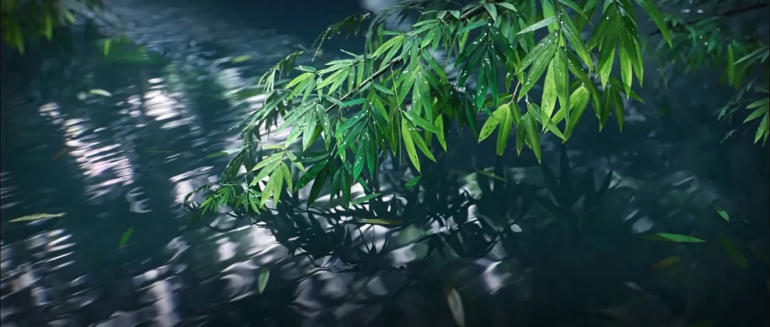 4k临水竹叶壁纸｜波光水面背景图片 - 清新自然绿植清凉风景「哲风壁纸」