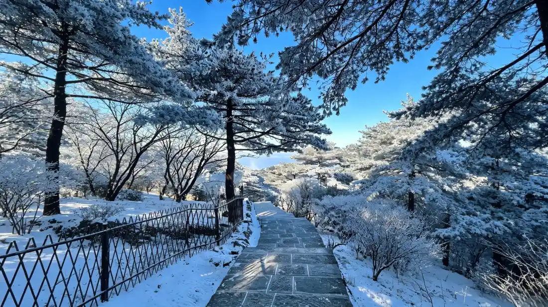 3k冬日雪景壁纸｜山林步道背景图片 - 雾凇雪松晴朗蓝天「哲风壁纸」